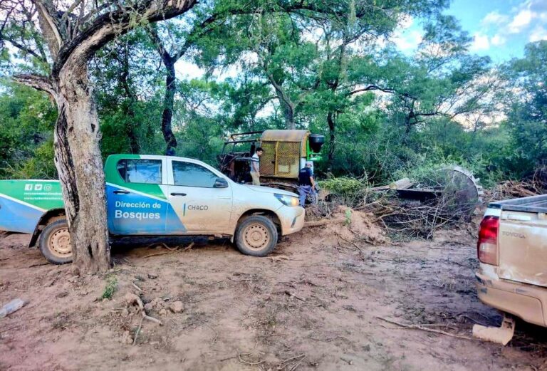 Detuvieron dos casos de desmonte ilegal en Fuerte Esperanza y Taco Pozo