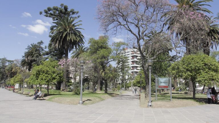 Tras robos sufridos, trabajadores de la Plaza Belgrano piden más seguridad