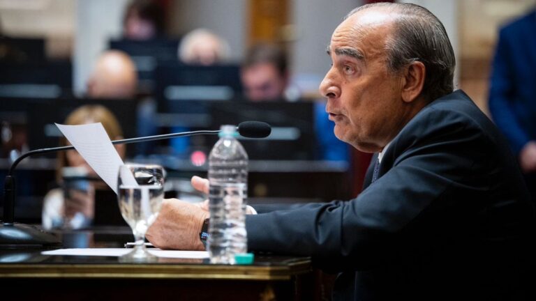 Guillermo Francos sobre los incendios forestales: «Decir que el Gobierno no se ocupa es mentir»