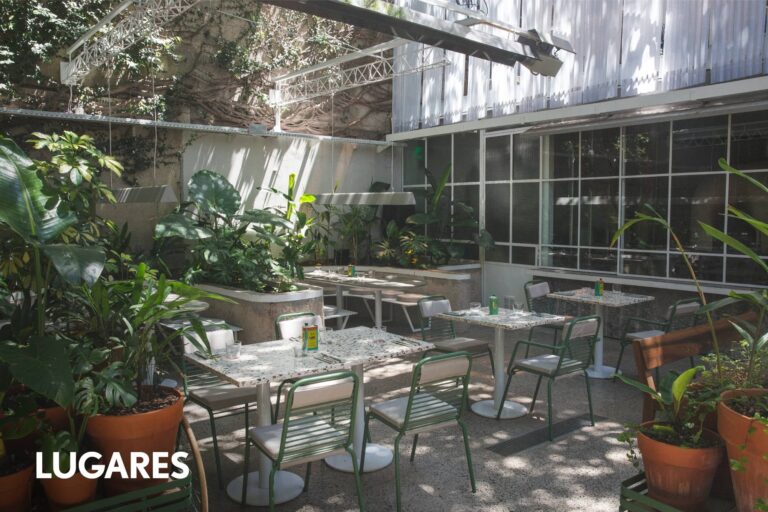 El nuevo restaurante de Belgrano en un patio lleno de plantas que sirve raciones y platitos