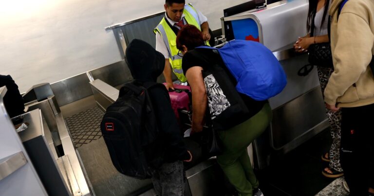 El Gobierno dispuso el inicio del proceso de privatización de Intercargo