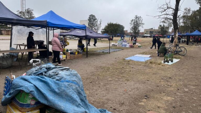 Una vez más, problemas entre el municipio y feriantes de la «Medalla Milagrosa»