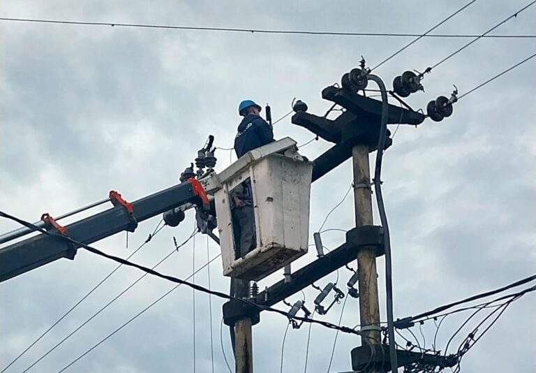 Fallas en la red provocó cortes y bajones de luz en el interior provincial