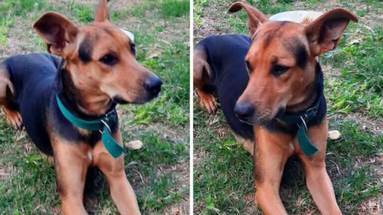 Barrio El Progreso: «Simur» es buscado intensamente