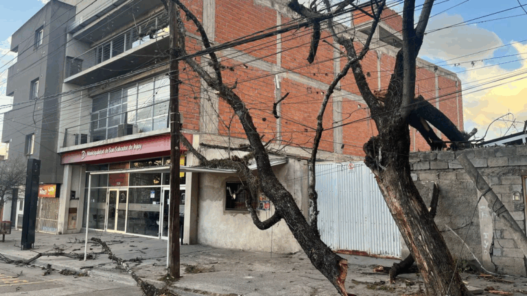 Árboles y postes caídos, techos y cables volados: consecuencias de los fuertes vientos