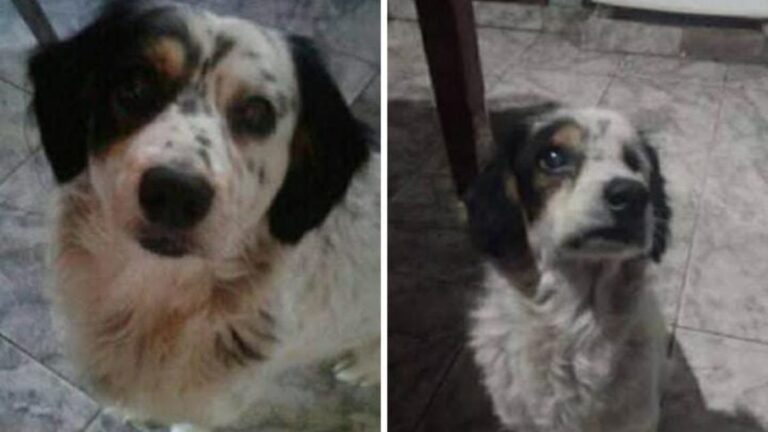 Barrio Alto Comedero: «Samuel» es buscado intensamente