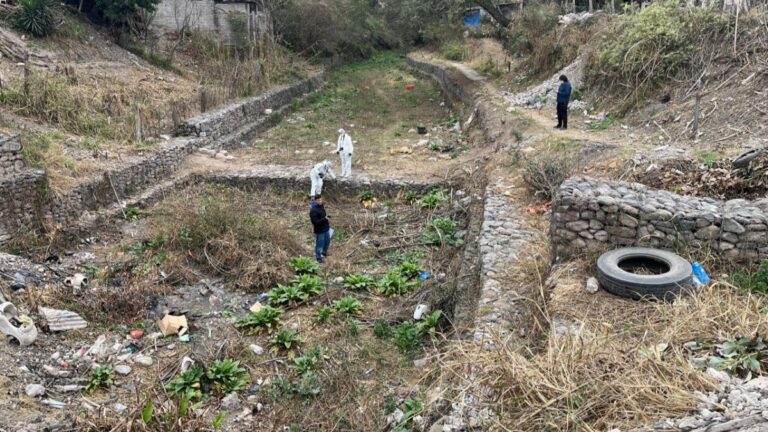 Cloacas, desagües, residuos y hasta los perros: todo es materia de investigación