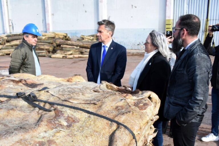Puerto de Barranqueras: Zdero constató la histórica exportación de 50 de contenedores de cuero salado a China