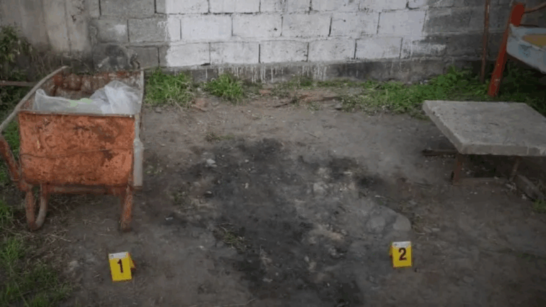 Revelaron escabrosos datos del presunto asesino serial: le daba restos humanos a los perros