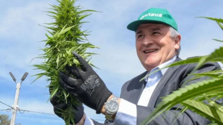 Cannava: «La Marihuanera del Estado», «un Cáncer» y Símbolo del «Feudalismo» Jujeño