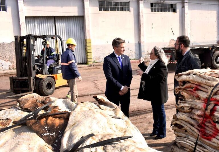Puerto de Barranqueras: el gobernador constató la histórica exportación de 50 contenedores de cuero salado a China