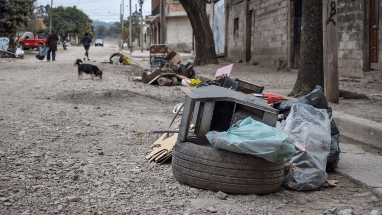 Jujuy sigue libre de casos de dengue en 2025
