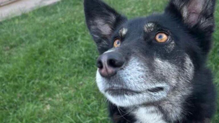 Barrio Los Perales: «Kika» es buscada intensamente