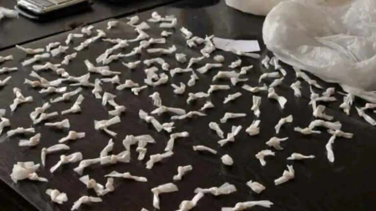 Detuvieron a 32 personas y secuestraron 34 mil dosis de droga en Jujuy