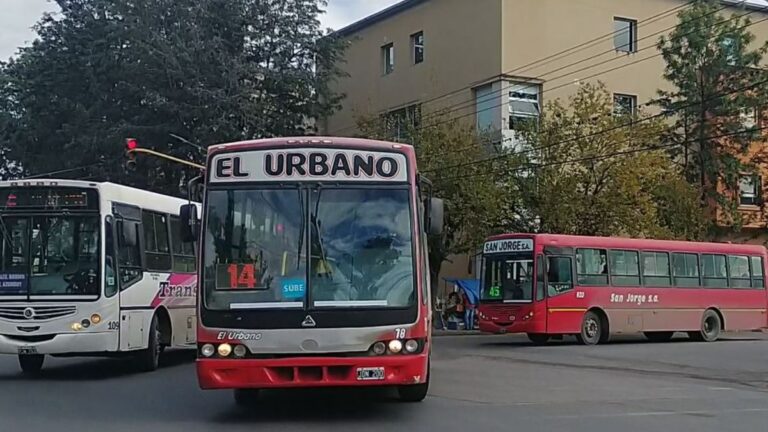 El municipio perdonaría deudas a empresarios del Transporte: «Es un negociado»