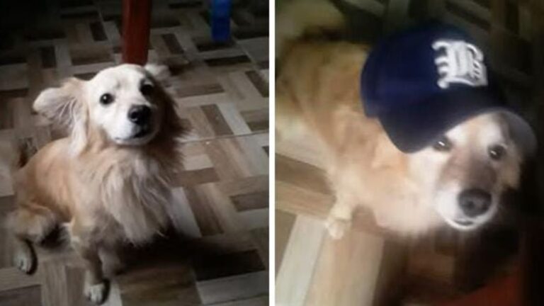 Barrio Alto Comedero: buscan a «Carlitos»