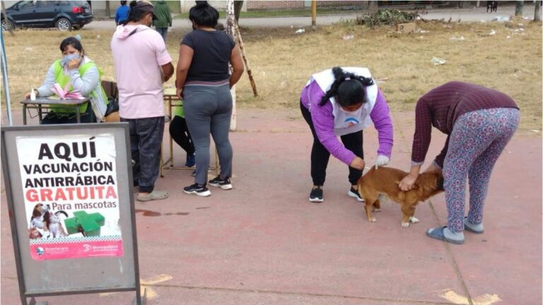 Semana de vacunación antirrábica gratuita en barrios capitalinos