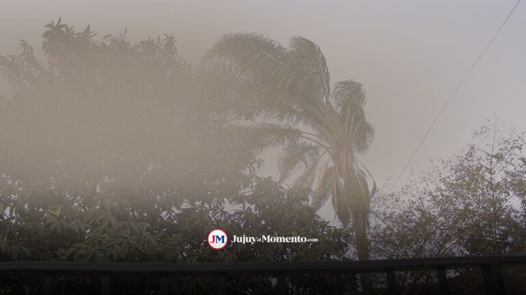 Toda la provincia bajo alerta por fuertes vientos