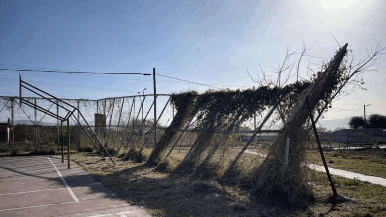Peligro en un polideportivo de Alto Comedero!
