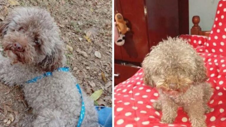 Palpalá: «Malevo» es buscado intensamente