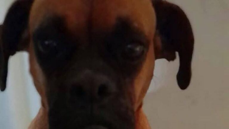 Barrio Moreno: «Lupe» sigue sin aparecer