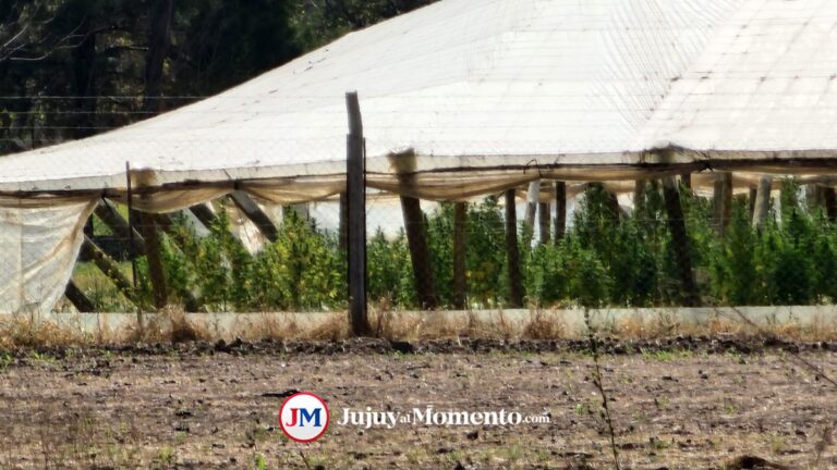 Denuncian «traición» al legado de Plinio Zabala