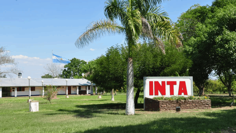 El gobierno nacional avanzó sobre el INTA: el impacto en Jujuy