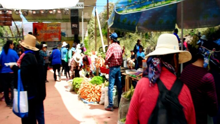 Miradas Documentales: El Legado de los Objetos y la Fuerza de la Tierra en «La vida es corta»