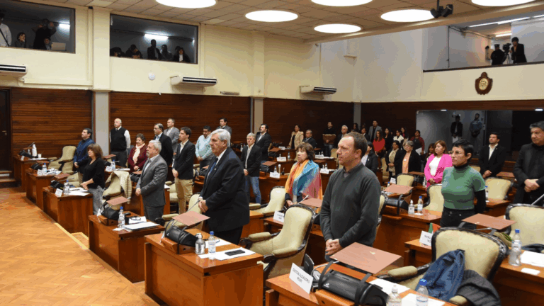 De empresas estatales a sociedades anónimas: diputado plantea interrogantes en el proyecto