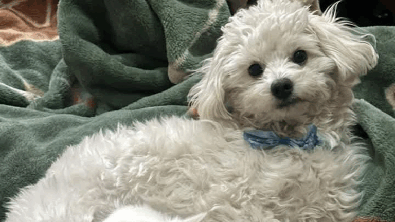 Barrio Alto Comedero: «Coco» es buscado intensamente