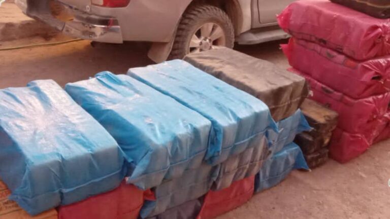 Secuestraron casi 800 kilos de hojas de coca en la Quebrada
