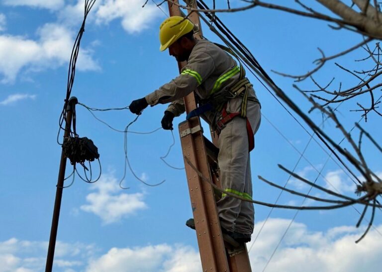Secheep detecta y elimina a los enganchados