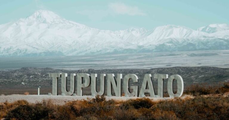 Un video grabado por su nieta, una ONG de Estados Unidos y las peores horas de una docente de Mendoza