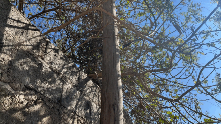 Peligro en Alto Gorriti: «Esto va a ser una escalera mortal»