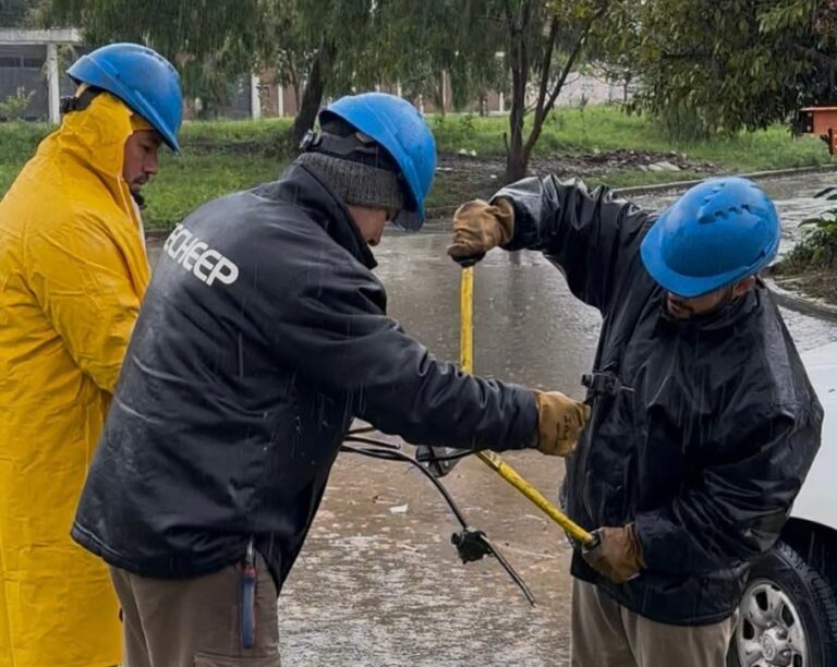 Trabajos de Secheep tras el temporal del lunes en el área metropolitana