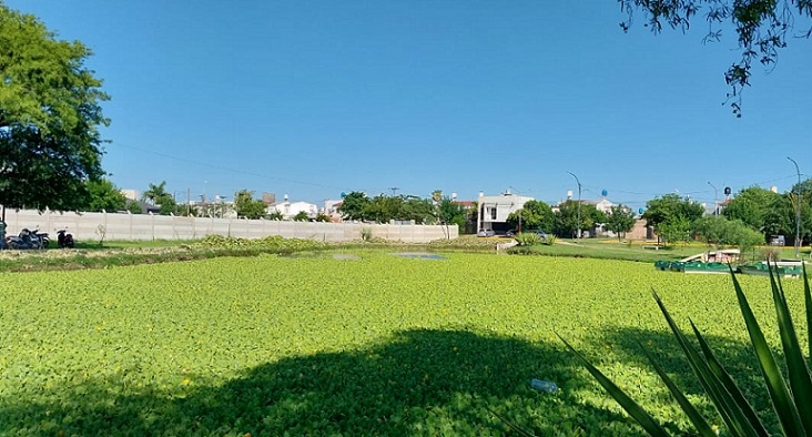 Desarrollan mapa que muestra el impacto de los asentamientos informales en lagunas urbanas de Resistencia