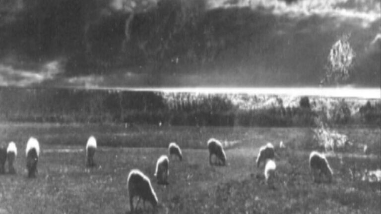 Julio Gaite, memoria viva de la fotografía jujeña en «La vida es corta»