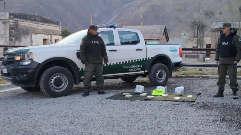 Secuestraron más de 10 kilos de drogas y más de 225 kilos de hojas de coca