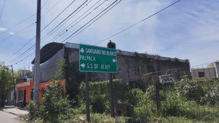 Entrega de obleas para vehículos en Río Blanco: días y horarios establecidos