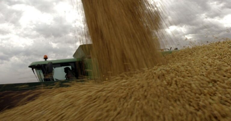 Retenciones cero: récord de ventas de granos y de declaraciones juradas para alcanzar el cupo de los US$7.000 millones