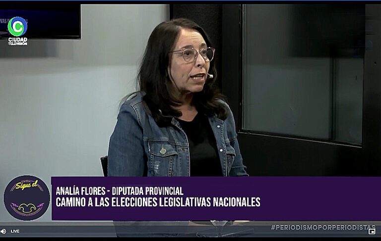Elecciones de octubre: Ha entrado en crisis la vida cotidiana de la gente, afirmó Flores
