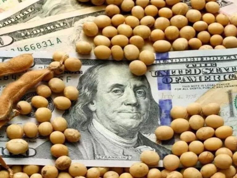 La estafa de las cerealeras y el Gobierno a los productores agropecuarios ya está bajo la mira de la Justicia