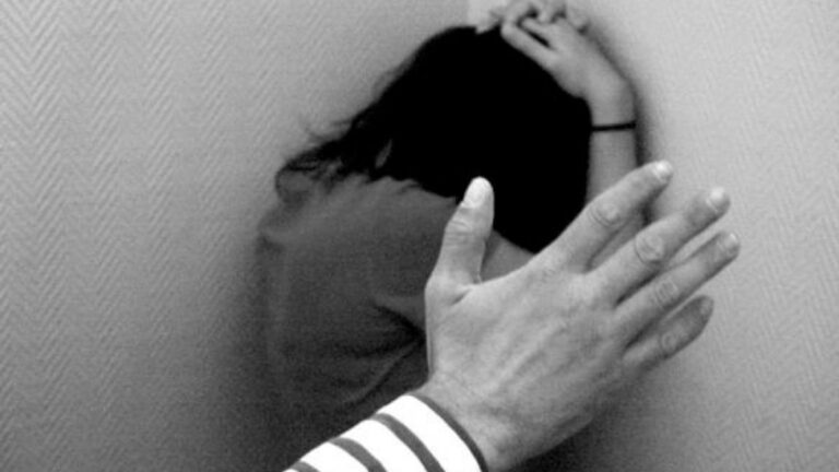 Una mujer le reclamó a su hermano por patear a su gato y él le dio un puñetazo