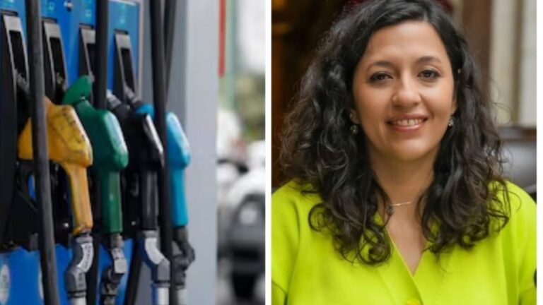 Leila Chaher: «desde que asumió Milei, el combustible aumentó un 400%»