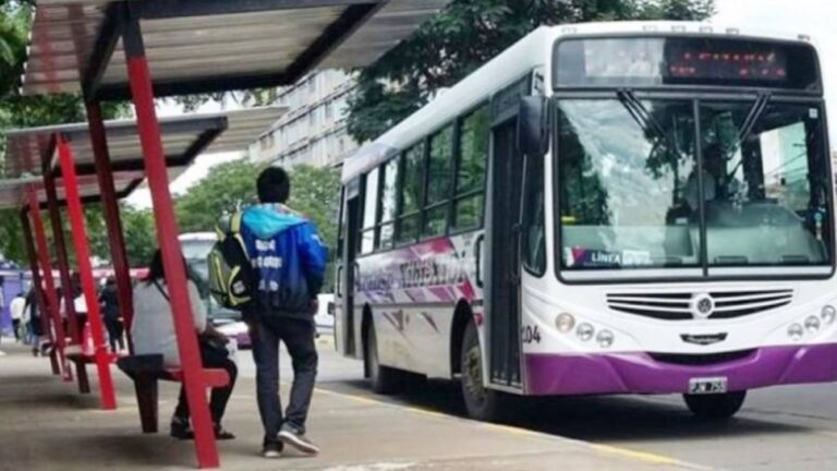 Denuncian retrocesos democráticos en la nueva licitación del transporte público