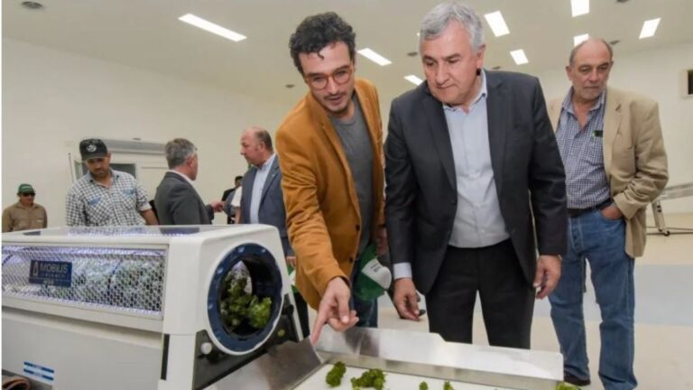 Por decreto, el gobierno de Sadir otorgó $2.610 millones a Cannava