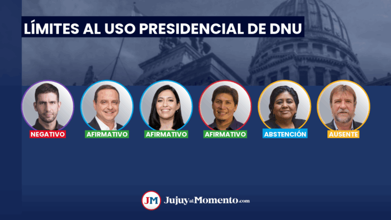 Diputados jujeños del radicalismo no votaron para limitar el uso presidencial de DNU
