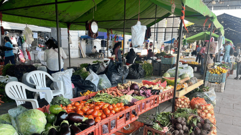 Productores jujeños, golpeados y buscando alternativas para repuntar ventas