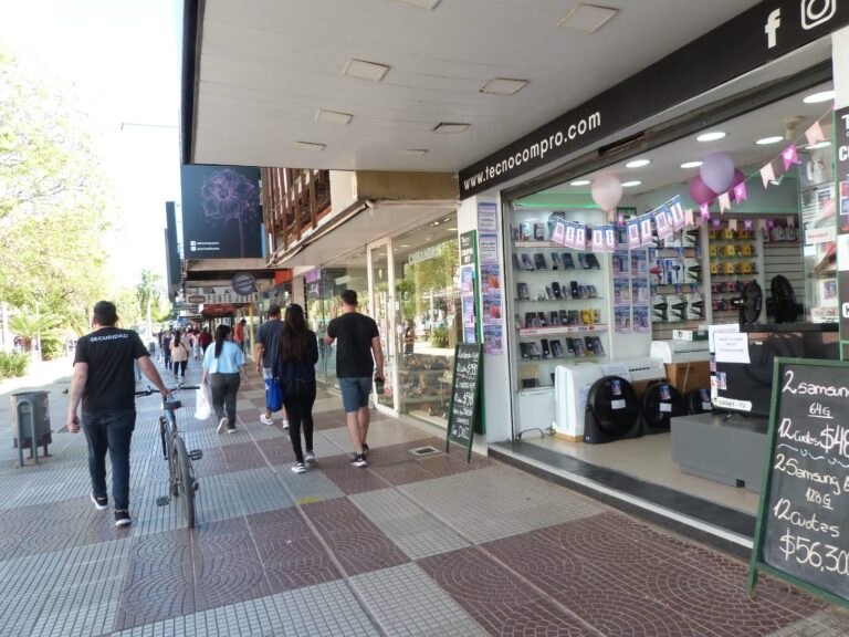 FOTOGALERÍA| Por qué es feriado este viernes? En Resistencia no todos adhirieron