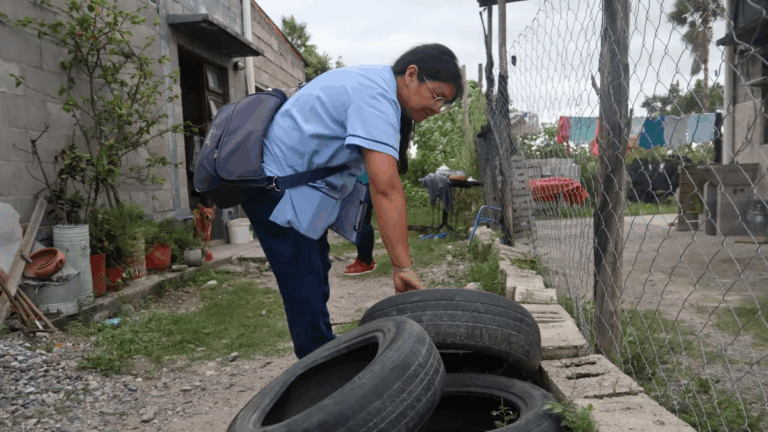 El 2025 sigue sin casos de dengue en Jujuy
